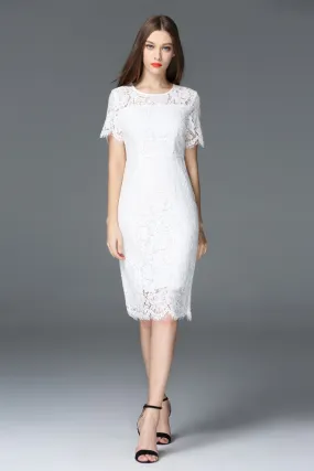 All-Over Lace Short Sleeve Dress