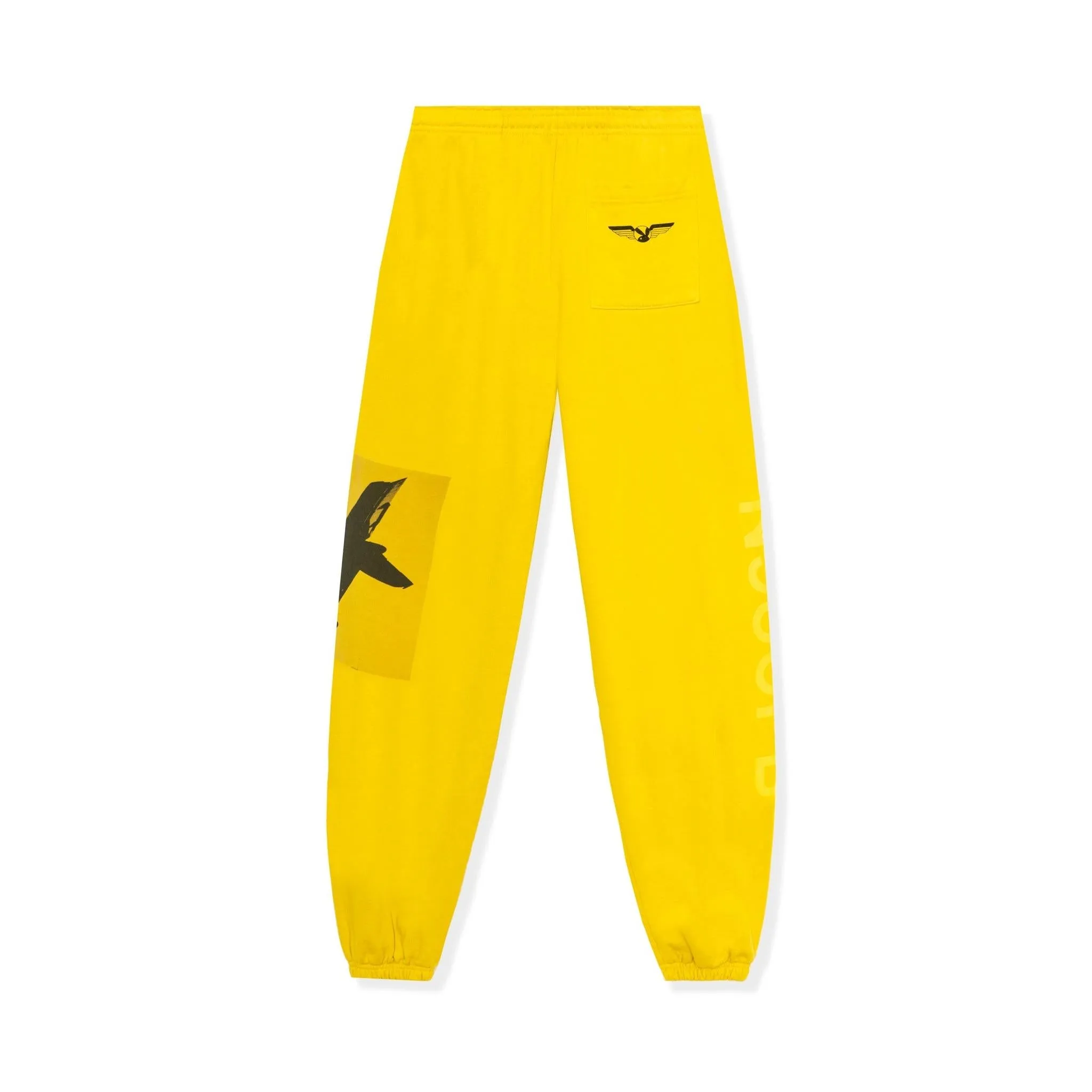 Aviation Wings N950PB Sweatpants